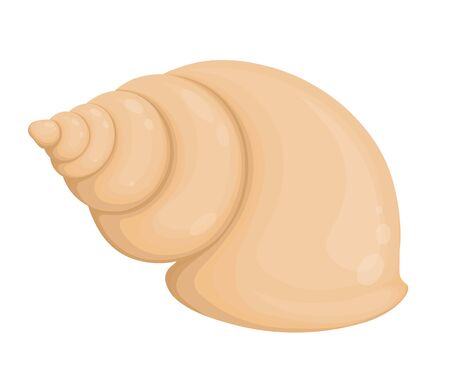 Beige sea shell scallop. Seashell cartoon style isolated on white background. Vector graphics.のイラスト素材