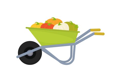 Wheelbarrow with pumpkins. Garden cart with a harvest of ripe vegetables. Vectorのイラスト素材