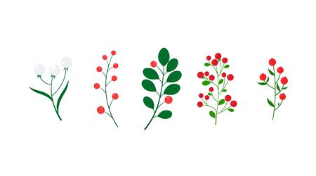 Botanical set of wild and Garden foliage grass branches for wedding invitation cards, collection of decorative herbs and berries. Vector graphics.のイラスト素材