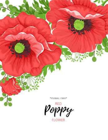 Set of flower cards with red poppies and wild leaves with space for text for your invitation card design, wedding, banner, etc. Vectorのイラスト素材