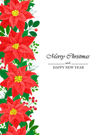 Christmas card with red poinsettia flowers leaves and berries on white.のイラスト素材