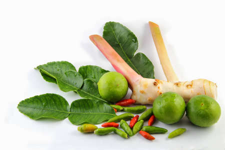 Tom yum ingredient  The famous food of Thailandの写真素材