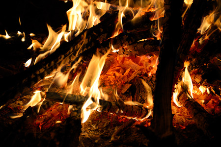 Burning wood in the fire, burnt coals
