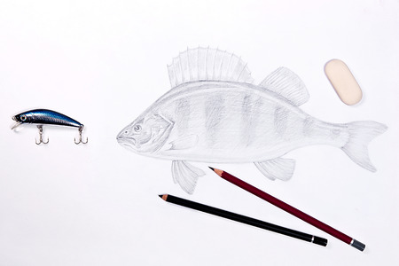 Fishing plastic bait with drawing perch on the white background. Drawing with graphite pencil. Graphite pencils and eraser on the white background.の写真素材