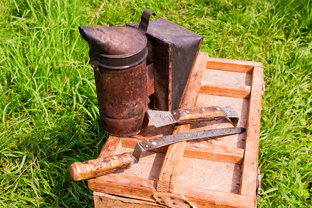 Vintage smoker and different kinds of beekeeper knifes on the wooden box.の写真素材