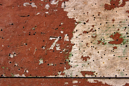 Wood texture with painting color peeled off. Flaking paint - wood background texture.