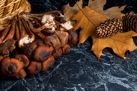 Wild mushrooms on the table. Yellow wooden basket on back background, several dry oak leaves, acorns and fir cones. Composition on black marble background
の写真素材