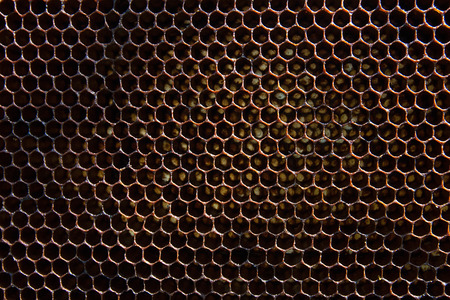 Background texture and pattern of a section of wax honeycomb from beehive.