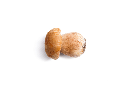 Harvested at autumn amazing edible mushroom boletus edulis (king bolete) known as porcini mushroom isolated on white background.
の写真素材