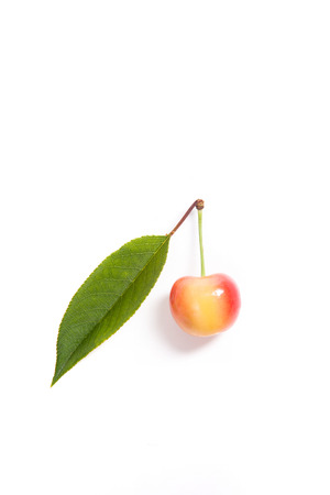 Berries of yellow sweet cherries with green leaf of cherry tree on white backgroundの写真素材