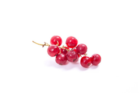 Close up view of red currant berry isolated on white background.