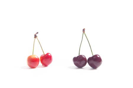 Berries of red and yellow sweet cherries with green leaf of cherry tree on white backgroundの写真素材