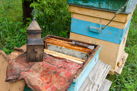 Vintage smoker and different kinds of beekeeper knifes on open beehive body.の写真素材