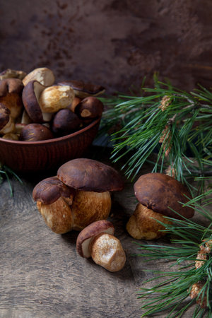 Autumn composition of boletus badius, imleria badia or bay bolete and clay bowl with mushrooms on vintage wooden background with green branch of pine tree on back. Edible and pored fungus has velvety dark brown or chestnut color cap.の写真素材