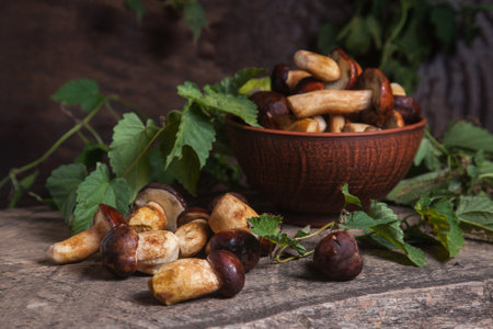 Autumn composition of boletus badius, imleria badia or bay bolete, clay bowl with mushrooms on vintage wooden background and green foliage of ivy on back. Edible and pored fungus has velvety dark brown or chestnut color cap.の写真素材