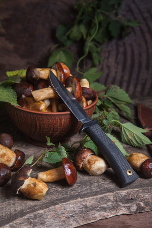 Autumn composition of boletus badius, imleria badia or bay bolete, clay bowl with mushrooms and...