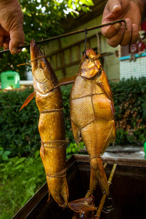 Appetizing smoked freshwater pike and common breath fish in smokehouse. Beautiful delicious dried smoked fish with spices for home use.の写真素材