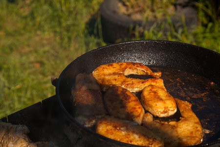 Pan with frying fish steak on the fire. Outdoor kitchen. Summer barbeque and vacation.の写真素材