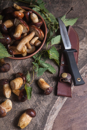 Autumn composition of boletus badius, imleria badia or bay bolete, clay bowl with mushrooms and knife on vintage wooden background and green foliage of ivy on back. Edible and pored fungus has velvety dark brown or chestnut color cap.の写真素材