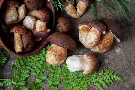 Autumn composition of boletus badius, imleria badia or bay bolete and Porcini mushroom commonly known as Boletus Edulis, clay bowl with mushrooms on vintage wooden background with green branch of pine tree and fern leaf on back.の写真素材