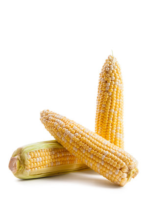 Several ears of ripe corn with soft shadow isolated on white background. Cobs with white and yellow grains. Fresh ear of corn with green leaves.の写真素材