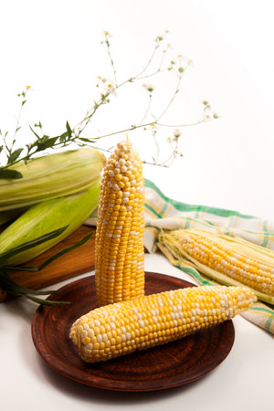 Clay plate with two ears of ripe sweet corn and green towel on vintage white wooden background. Cobs with white and yellow grains. Fresh ears of corn with green leaves on cutting board.の写真素材