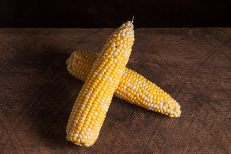 Two ears of ripe sweet corn on wooden background. Cobs with white and yellow grains.の写真素材