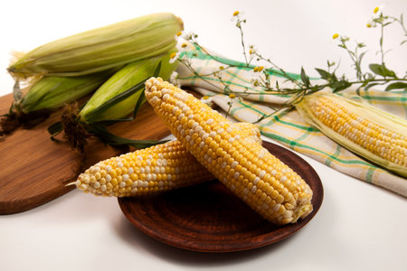 Clay plate with two ears of ripe sweet corn and green towel on vintage white wooden background. Cobs with white and yellow grains. Fresh ears of corn with green leaves on cutting board.の写真素材