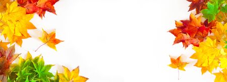 Autumn long background with red, yellow, orange maple leaves