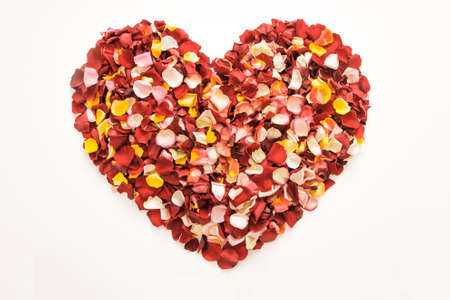 Multicolored heart shape with fresh rose petals on white background.