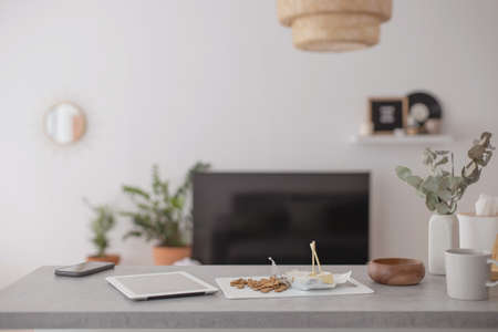 Empty modern scandi interior of living room potted plant furniture decor elements minimalistic homeの写真素材