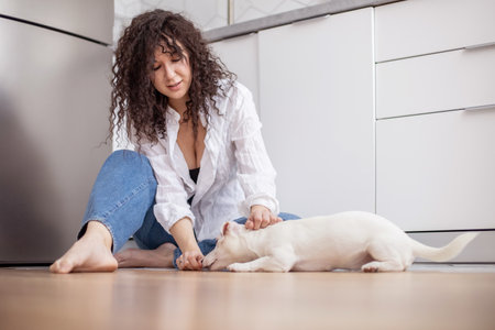 Modern female pet owner playing feeding training dog at kitchen Jack Russell Terrier breed