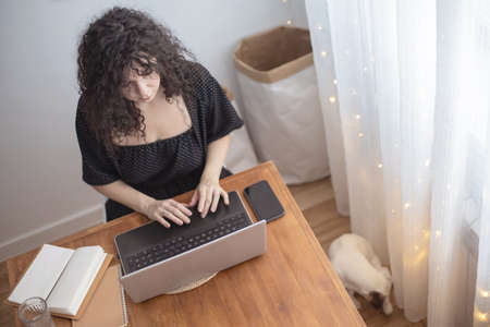 Modern freelancer woman playing with little cute dog working remotely on laptop Jack Russell Terrierの写真素材