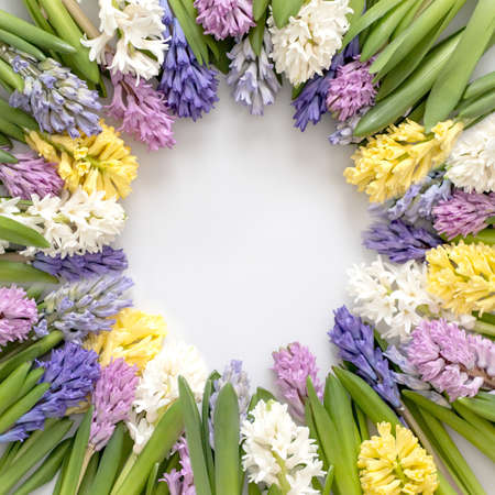 Rounded composition of beautiful hyacinth summer flowers with stems circle blossom floral plantsの写真素材