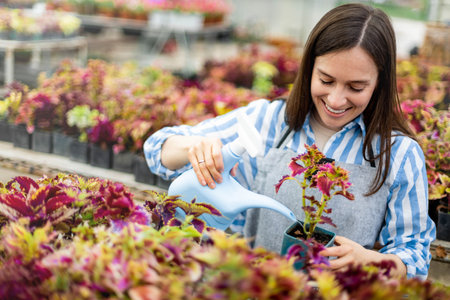 Happy young smiling female working with flowers at greenhouse holding box multicolored plantsの写真素材