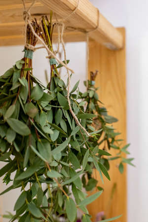 Natural eucalyptus broom hanging on rope for decor at art studio closeup greenery aromatic twigの写真素材
