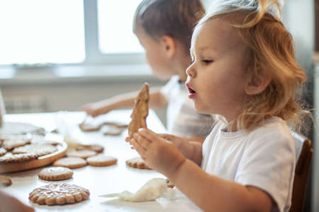 children decorate Christmas gingerbread at home. A boy and a girl paint with cornets with sugar icing on cookies. New Years decor, branches of a Christmas tree.の写真素材