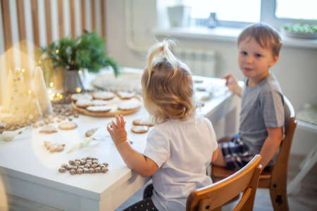 Boy and girl decorate Christmas gingerbread at home. A boy and a girl paint with cornets with sugar icing on cookies. New Years decor, branches of a Christmas tree.の写真素材