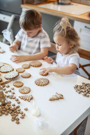 children decorate Christmas gingerbread at home. A boy and a girl paint with cornets with sugar icing on cookies. New Years decor, branches of a Christmas tree.の写真素材