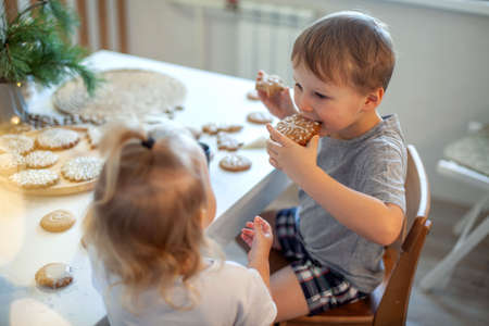 Boy and girl decorate and eating Christmas gingerbread at home. A boy and a girl paint with cornets with sugar icing on cookies. New Years decor, branches of a Christmas tree.の写真素材