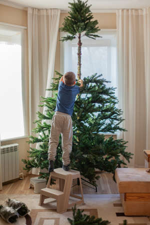 Boy collects an artificial Christmas tree at home in the living roomの写真素材