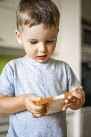Portrait of baby boy eating fresh bread slice cooking breakfast with fruits and berries at cuisineの写真素材