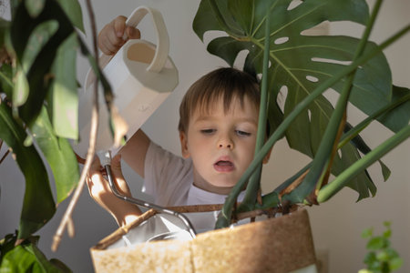 Little cute boy is watering indoor plants from a stylish watering can in a designer home interior.の写真素材