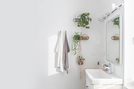 White bathroom minimalist Scandi interior sink mirror potted plant domestic apartment interiorの写真素材