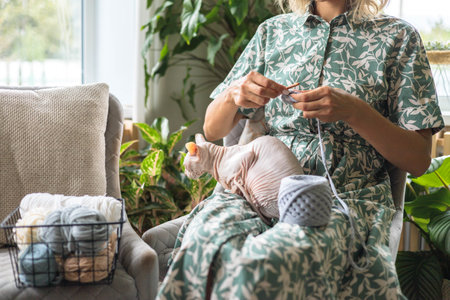 A young beautiful smiling girl crochets from gray yarn and strokes a sphinx cat.の写真素材