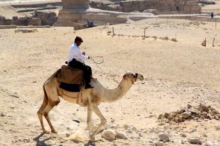 Egyptian policeman on a camelの写真素材
