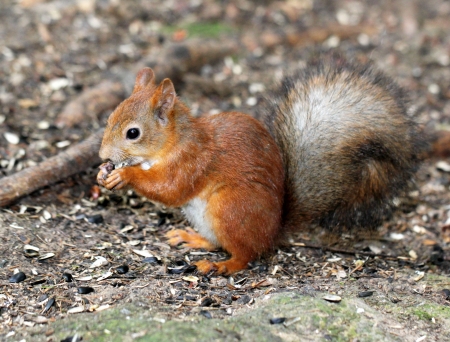 Portrait of proteinsの写真素材