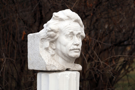 bust of bust of a man in the park is photographed close-upa man in the park is photographed close-upの写真素材