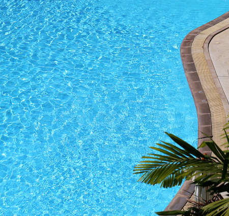 Beautiful pool with blue water on a background of green trees