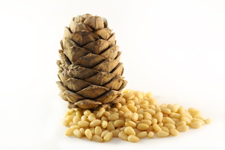 Beautiful cones of coniferous trees photographed close upの写真素材